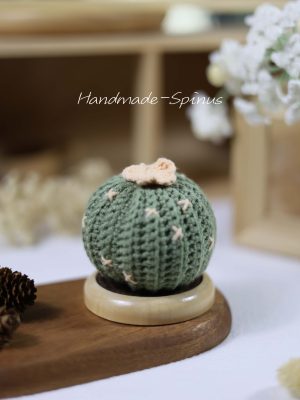 Handmade-Spinus Crochet Knit Cactus Plant Pot