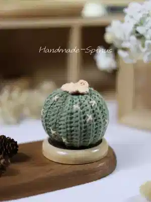 Handmade-Spinus Crochet Knit Cactus Plant Pot